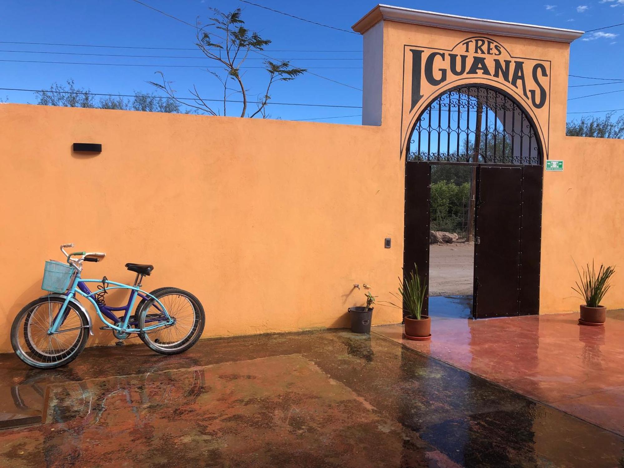 Tres Iguanas Apart Hotel - New, Cozy & Spacious Flats, Short Walk To Beach Loreto  Eksteriør bilde