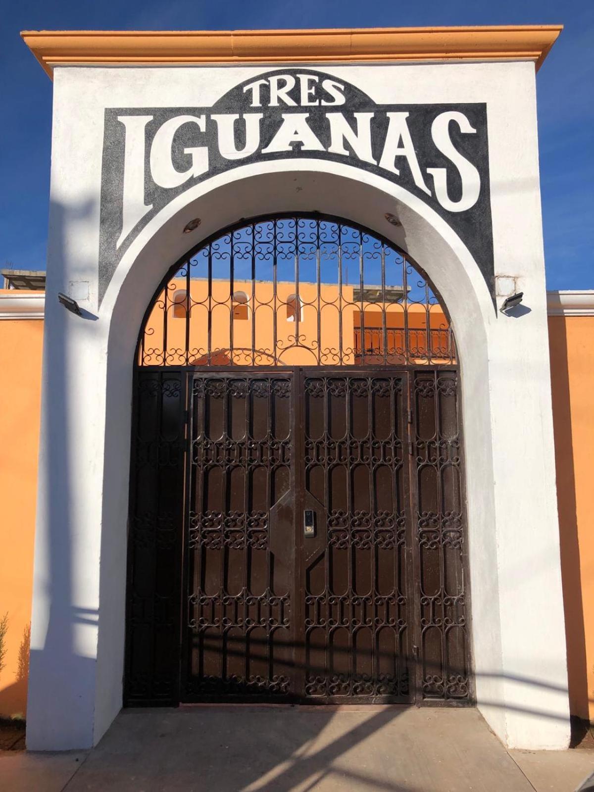 Tres Iguanas Apart Hotel - New, Cozy & Spacious Flats, Short Walk To Beach Loreto  Eksteriør bilde