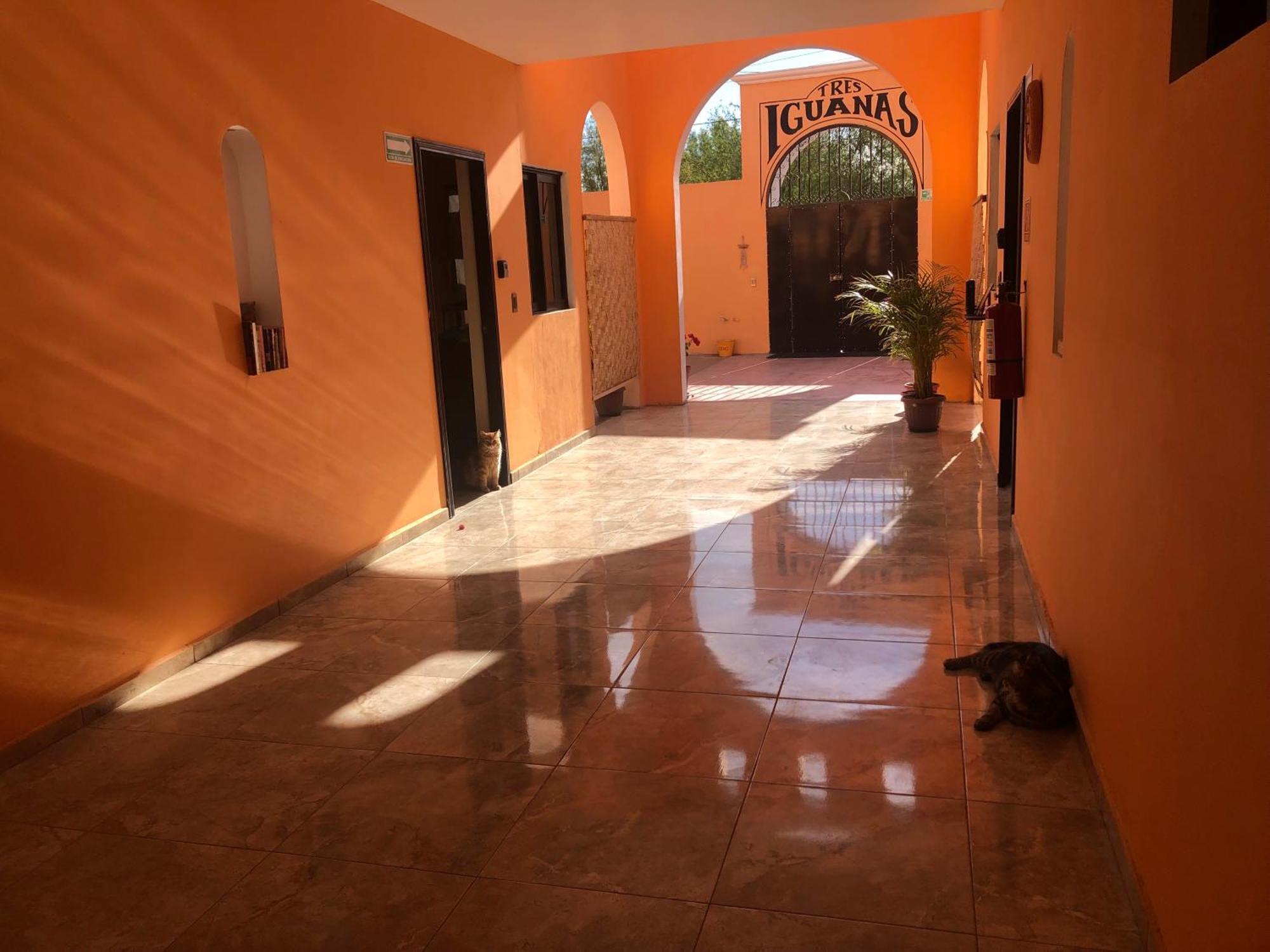 Tres Iguanas Apart Hotel - New, Cozy & Spacious Flats, Short Walk To Beach Loreto  Eksteriør bilde