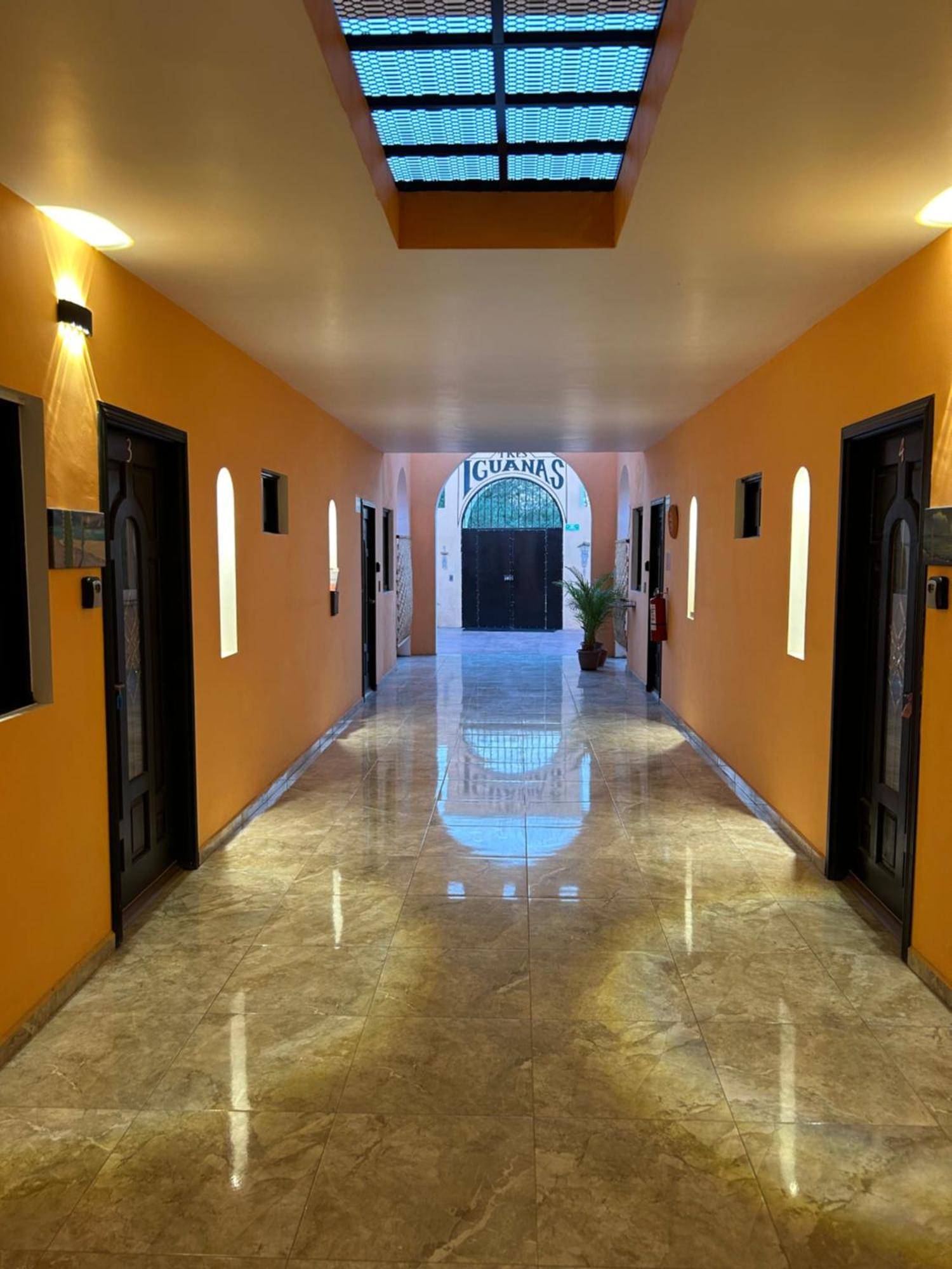 Tres Iguanas Apart Hotel - New, Cozy & Spacious Flats, Short Walk To Beach Loreto  Eksteriør bilde