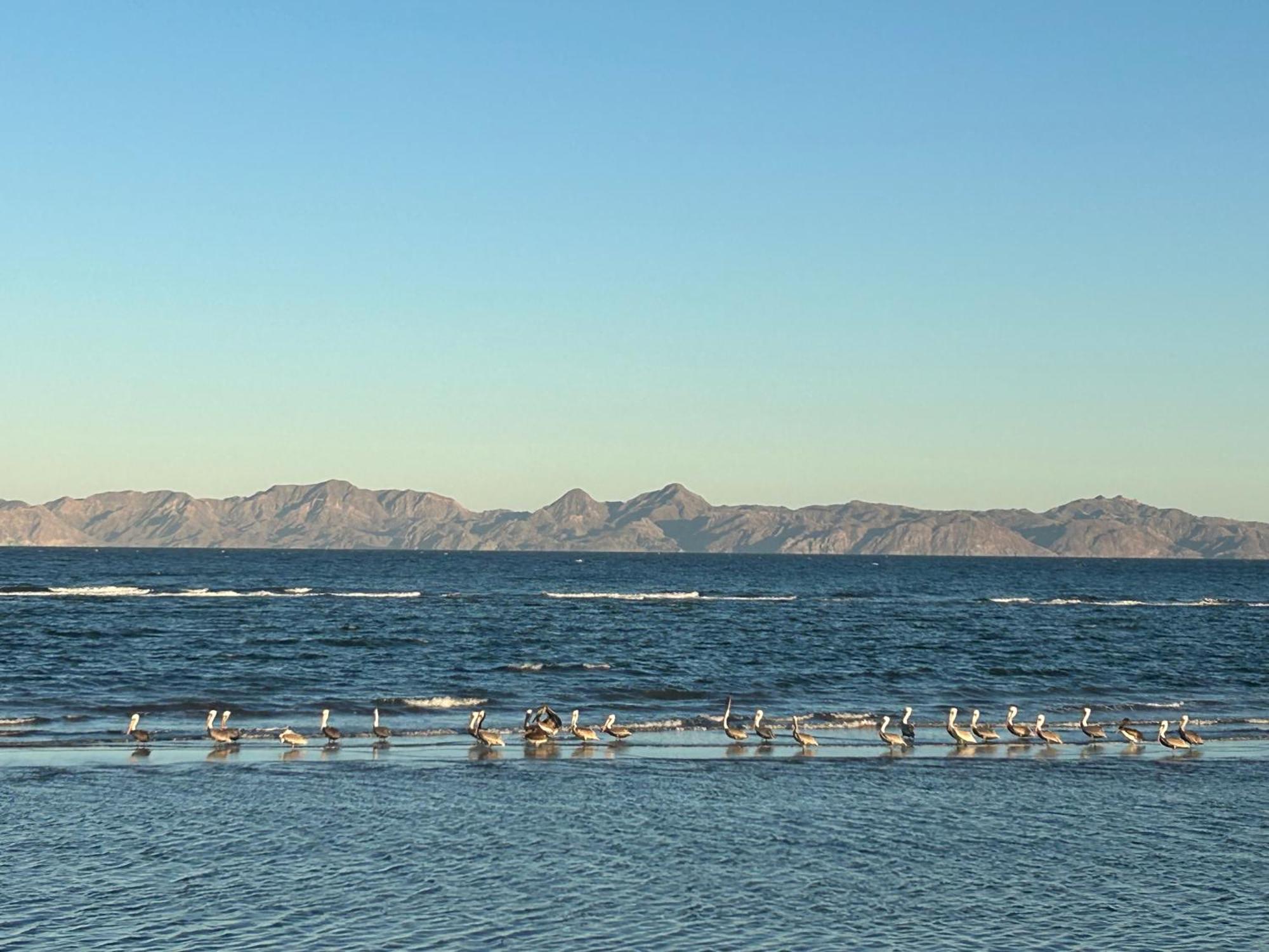 Tres Iguanas Apart Hotel - New, Cozy & Spacious Flats, Short Walk To Beach Loreto  Eksteriør bilde