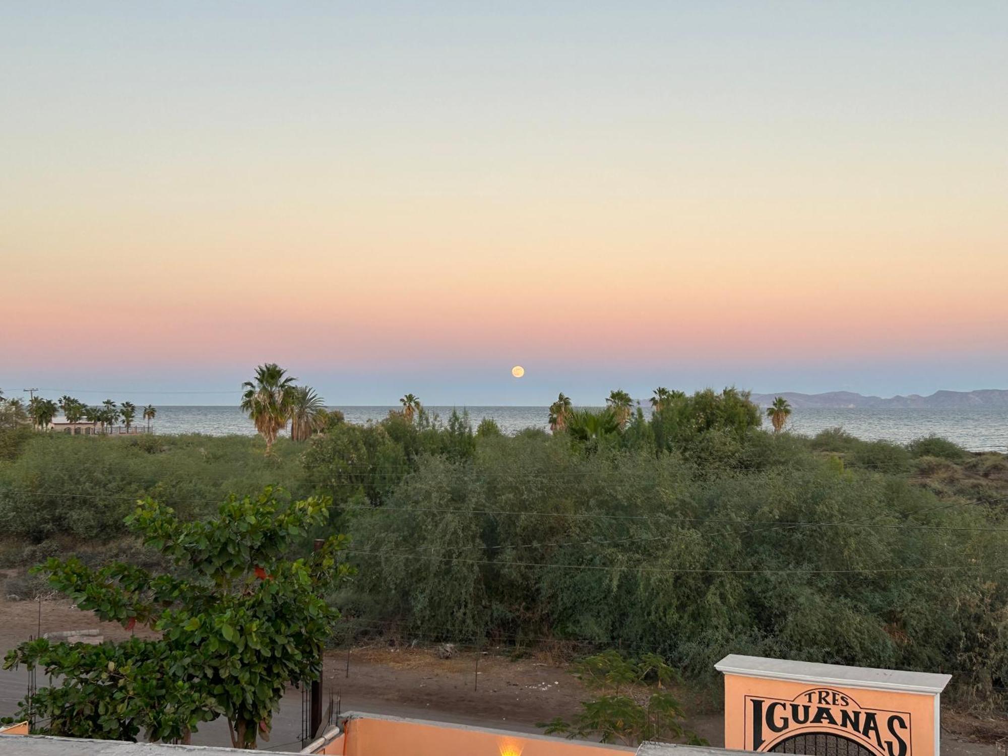 Tres Iguanas Apart Hotel - New, Cozy & Spacious Flats, Short Walk To Beach Loreto  Eksteriør bilde